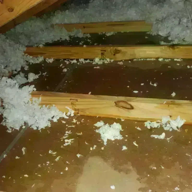 Attic Water Damage in San Gabriel, CA