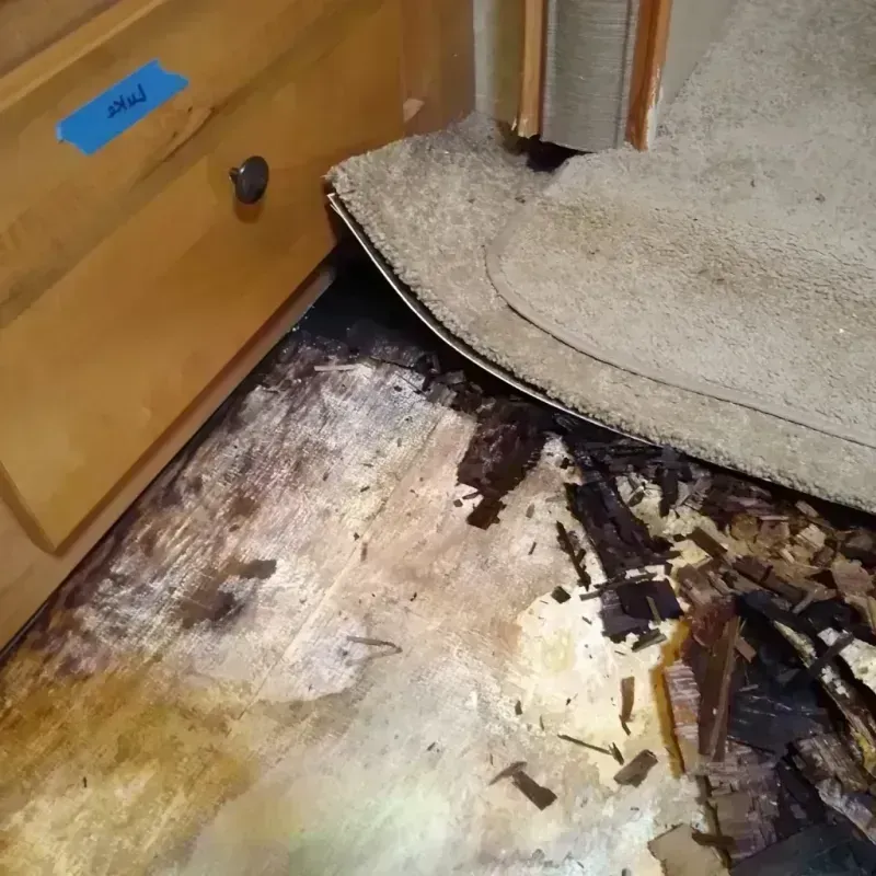 Wood Floor Water Damage in San Gabriel, CA